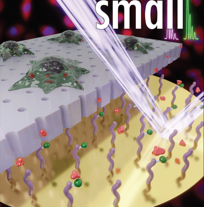 Eric and Elamar’s Article Featured on Cover of Small